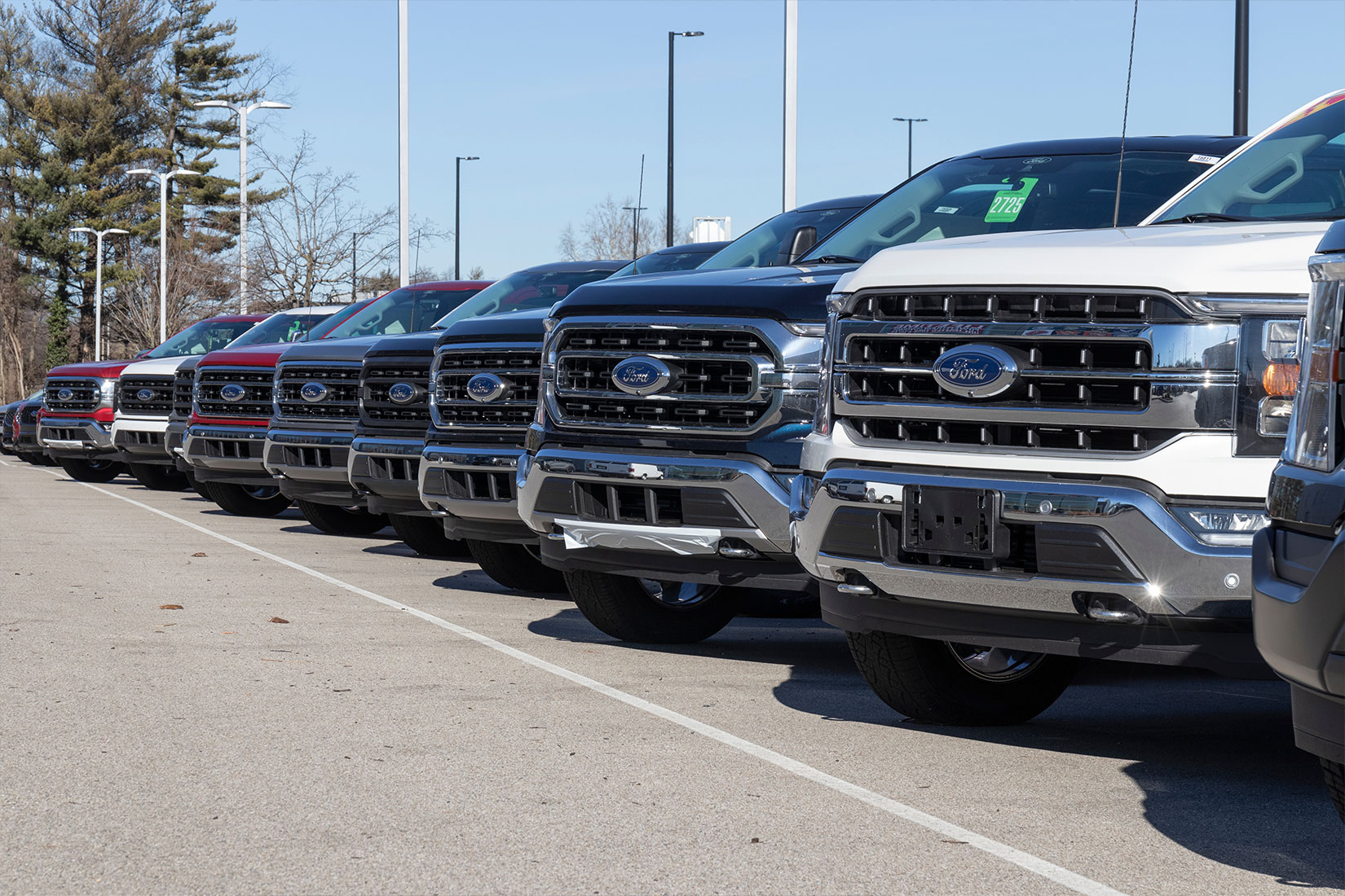 Ford pickup trucks parked in a row at a dealership.